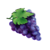 shining diamonds grapes symbol
