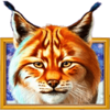 siberian lynx lynx symbol