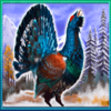 siberian lynx peacock symbol