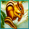 siberian lynx squirrel symbol