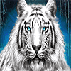 siberian storm mega jackpots tiger2 symbol