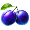 silver coins plum symbol