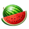 silver coins watermelon symbol