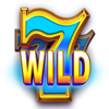 silver coins wild symbol