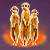 silver pride meerkat symbol
