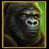 silverback multiplier mountain gorilla symbol