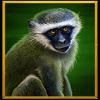 silverback multiplier mountain monkey symbol