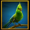 silverback multiplier mountain parrot green symbol