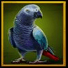 silverback multiplier mountain parrot symbol