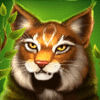sizzling kingdom bison lynx symbol