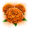 skull bonanza flowers symbol
