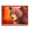 sky defender prizetower bear symbol