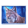 sky defender prizetower lynx symbol