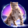 snow leopard leopard2 symbol
