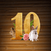 snow wild 10 symbol