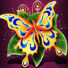 solstice celebration butterfly symbol