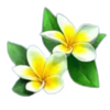 songkran party vannila symbol