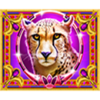 sphinx coin boost symbol 5