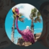 spigo showers flamingo symbol