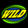 spin again 7s wild symbol