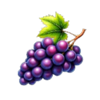 spin and squeeze grape symbol