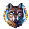 spin sorceress wolf symbol