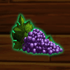 spinmatic fruit farm grapes symbol