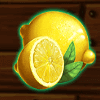 spinmatic fruit farm lemon symbol