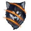 spinsane wolf scratch symbol