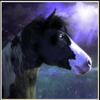 spirit of the wild horse symbol