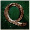 spirit of the wild q symbol