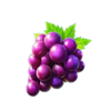 splash clash grape symbol