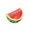 splash clash watermelon symbol