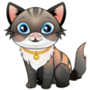 splashin pigs cat symbol
