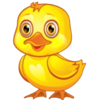 splashin pigs ultimate baby chicken symbol