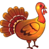 splashin pigs ultimate turkey symbol