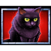 spooky halloween black cat symbol