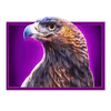stacking bison eagle symbol