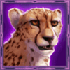 stampede call of the pride cheetah symbol