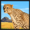 stampede cheetah symbol