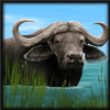 stampede ox symbol