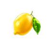 star hot reels lemon symbol