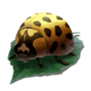 stardust bug symbol