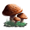 stardust mushroom symbol