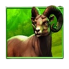 starlight jackpots bison rush bighorn symbol1