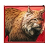 starlight jackpots bison rush lynx symbol