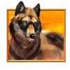 starlight jackpots bison rush wolf symbol