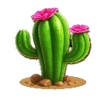 steamin reels cactus symbol