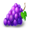 sticky coin hold the spin grape symbol