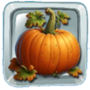 stuffed with wins pumpkin symbol